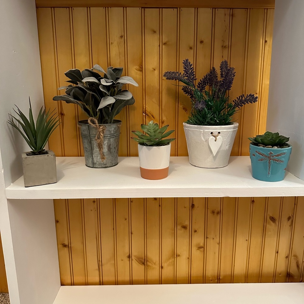 fake plants and sign